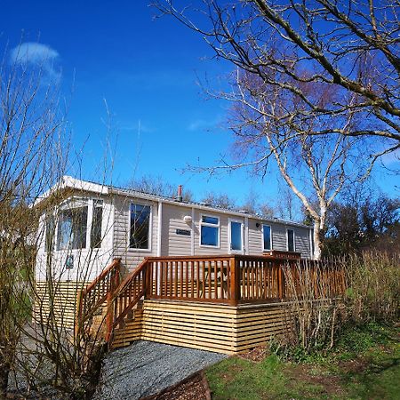 Red Squirrel Holiday Home In The Countryside, 10 Mins To Lligwy Beach Llandyfrydog Kültér fotó