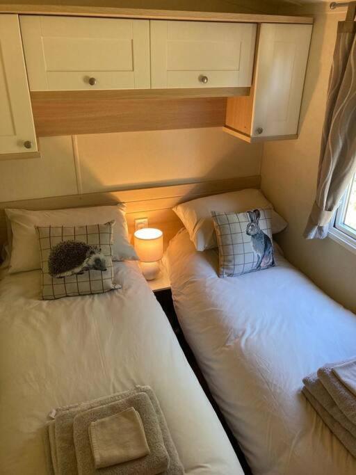 Red Squirrel Holiday Home In The Countryside, 10 Mins To Lligwy Beach Llandyfrydog Kültér fotó