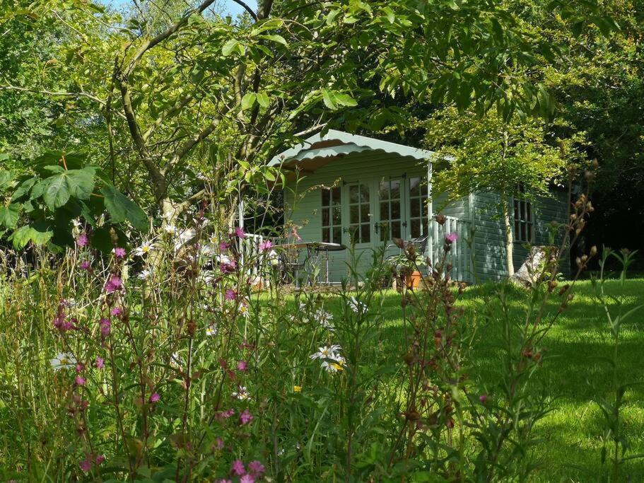 Red Squirrel Holiday Home In The Countryside, 10 Mins To Lligwy Beach Llandyfrydog Kültér fotó
