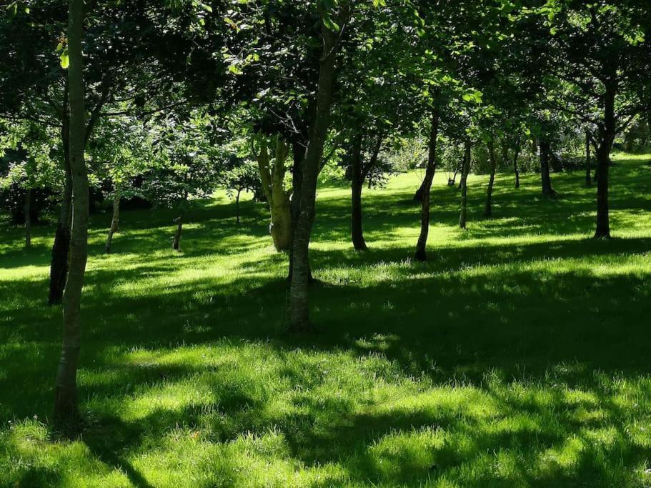 Red Squirrel Holiday Home In The Countryside, 10 Mins To Lligwy Beach Llandyfrydog Kültér fotó